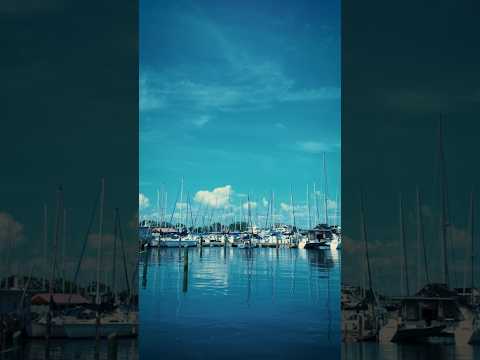 Tampa Bay by MusicSnake