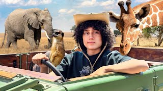 ASI VIVEN LOS ANIMALES SALVAJES AFRICANOS!!!🐘🦒