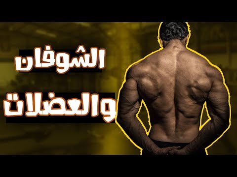 كل ما يتعلق بالشوفان | اهميته | علاقته بحرق الدهون وزيادة العضلات !!