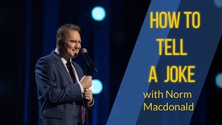 Understanding the Comedy of Norm Macdonald | Norm Lives - His Influences - Comedians on Norm