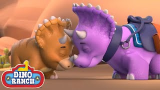 The Triceratops Song! | Dino Ranch