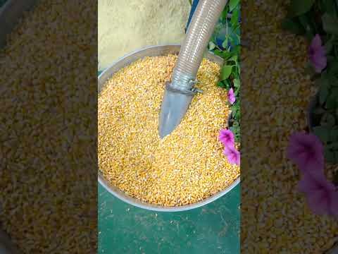 Super corn grinder is a universal grain grinder, which is easy to operate and efficient for everyone