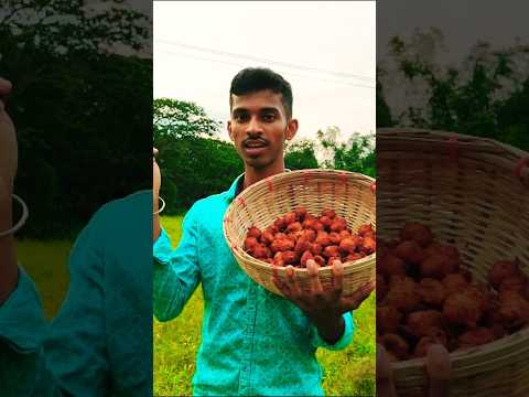 একদিনে পিঁয়াজি বিক্রি করে কত টাকা ইনকাম #minivlog #shorts #viral
