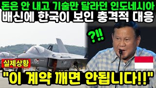 돈은 안 내고 기술만 달라던 인도네시아 배신에 한국이 보인 충격적 대응 "이 계약 깨면 안됩니다!!"