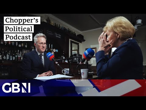 Andrea Leadsom makes SHOCKING revelation over treatment of MPs by public - 'I've been spat at'