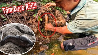 Chúng NÓ Đã Ẩn Nấp Ở Đây Mà Không Ai Bắt | 51H Sống Trên Rẫy Đi Săn Tìm Thức Ăn Trong Những Ao Hoang