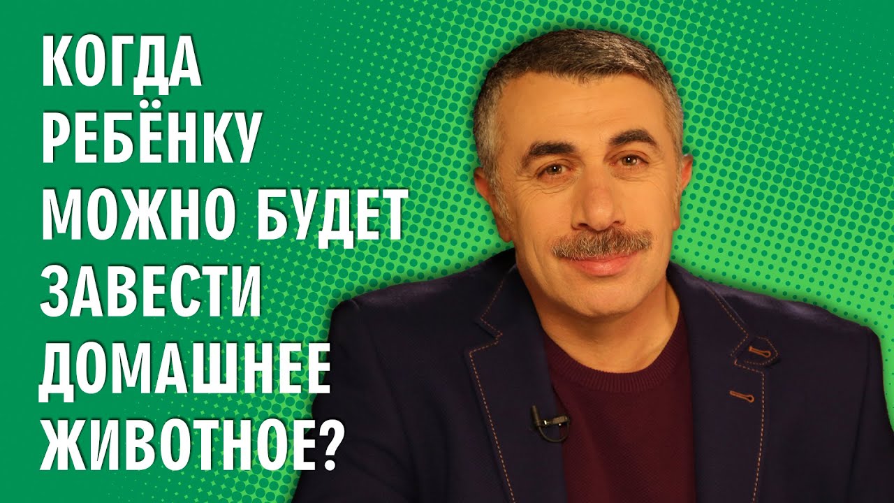 Когда ребенку можно будет завести домашнее животное?