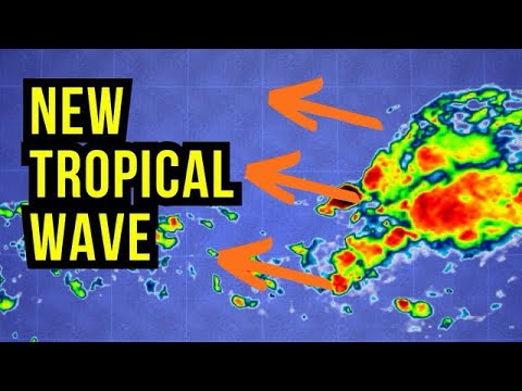 Larger Tropical Wave Coming...