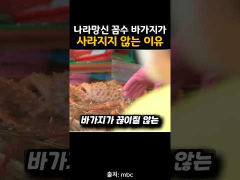 선넘은 꼼수 광장시장 바가지가 안없어지는 이유 3가지