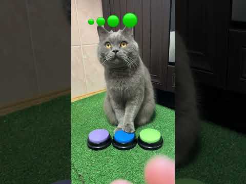 🔵🔵🔵 синяя кто ещё не видел а вас много 😅🟢🟣🔵