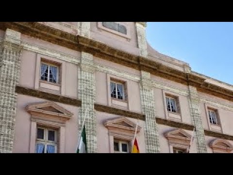 Pleno Telemático Diputación Cádiz – Diciembre 2020