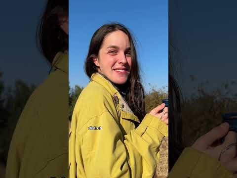 Así es un día como aprendiz de guía de Safari gracias a @EcoTraining 👇 #Publi