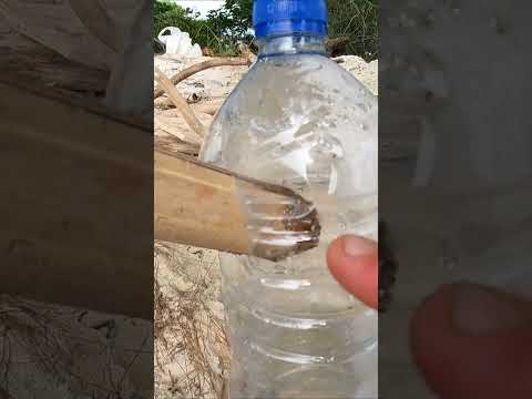 SURVIVAL TIP (make drinking water) #shorts #survival #water