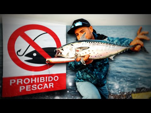 PROHIBIDO Pescar - Nuevas REGULACIONES ¿Tiene sentido? | 𝙇𝙪𝙧𝙚𝙙𝘾𝙖𝙨𝙩 𝐏𝐨𝐝𝐜𝐚𝐬𝐭 #8