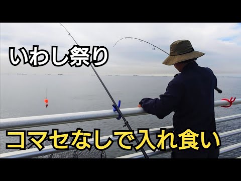 竿を上下に動かすだけ、昼間の堤防からコマセ無しでいわしが入れ食い!
