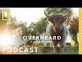 Chester Farm Management Insights