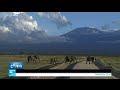 Kilimanjaro Climbing Experience Questions