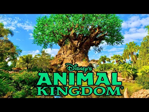 Disney’s Animal Kingdom - Christmas Tour & Rides | Christmas at Walt Disney World 2024