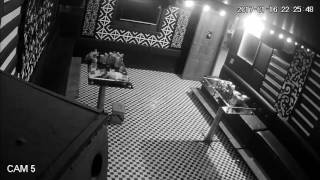 cam5