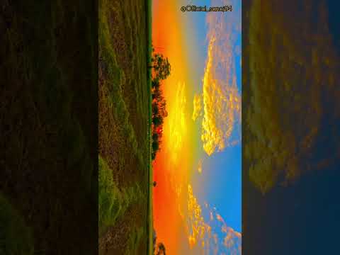 Morning view ☀️ #dailyvlog #morningvibes #shorts #trending #farming #youtubeshorts#viral