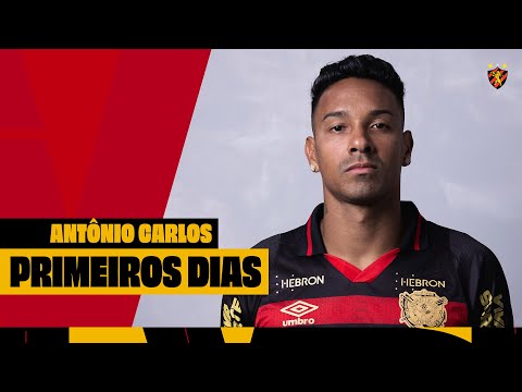 image para ilustrar o artigo