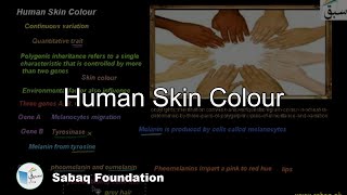 Human Skin Colour