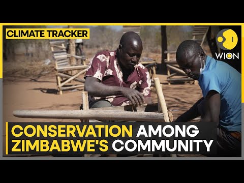 Conservation Awareness in Zimbabwe: Former poacher is spreading awareness on conservation | WION
