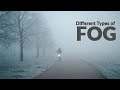Fog Formation and Effects in India