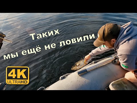 Неожиданный улов. Эта рыба у нас ещё не клевала