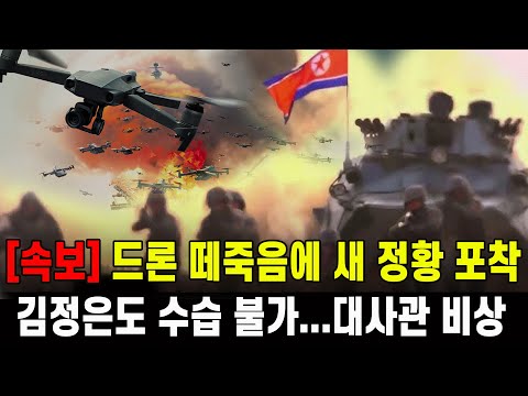 [속보] 드론 떼죽음에 새 정황 포착...김정은도 수습 불가 대사관 비상