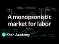 Understanding Labor Markets and Monopsony