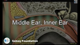 Middle Ear, Inner Ear