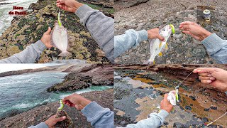 🌊 Pesca entre Olas Bravas y Espuma | Corvinas y Lenguados con un Solo Señuelo 🎣
