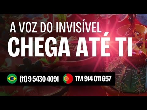 RESPOSTAS E TARÔ - ANJOS E ARCANOS Marcelo Schmitd