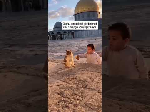 Masumiyet 😔  #shorts  #keşfet #keşfet #shortsvideo #ytshorts #fyp #viral #trend #youtubeshorts