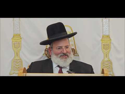 הרב יצחק לוי | רב העיר נשר | הגדרת שוגג במבשל בשבת | חוקת תשפ"ו