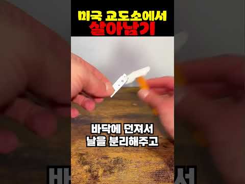 <strong>미국</strong> 교도소에서 살아남기