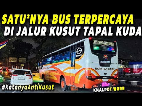 BUS PENOLONG !! DI TENGAH KUSUTNYA BUS JATIM TAPAL KUDA 🔥 Trip Report Naik Bus HARAPAN BARU Delon