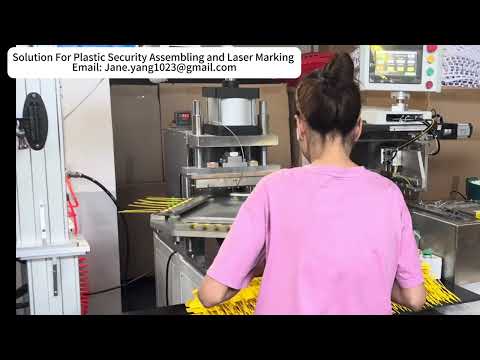 Solution For Plastic Security Seal Assembling And Laser Marking