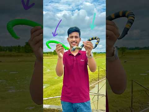 Remote control Snake 🐍
