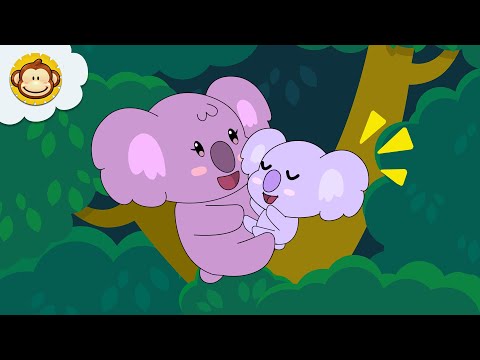 Koala 🐨 Lagu Anak Anak | BaLiTa | Baba Lili Tata