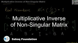 Multiplicative Inverse of Non-Singular Matrix