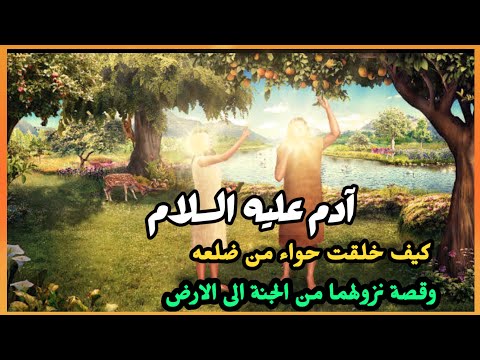 قصة آدم عليه السلام ولماذا خلقت حواء من ضلعه وهو نائم ومن جاء بعده من الأنبياء #قصص_القرآن