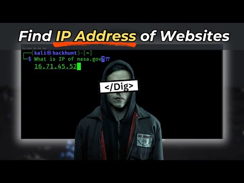 How Hackers Find IP and DNS Information of ANY Website | Dig command - Kali Linux