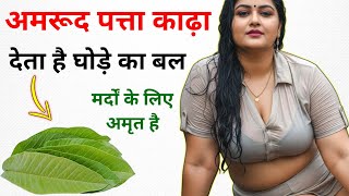 अमरूद पत्ता काढ़ा के अद्भुत फायदे, मर्द जरूर देखें || Health Tips in Hindi