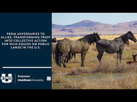 Adversaries to Allies: Transforming Trust into Collective Action for wild equids on Public Lands.