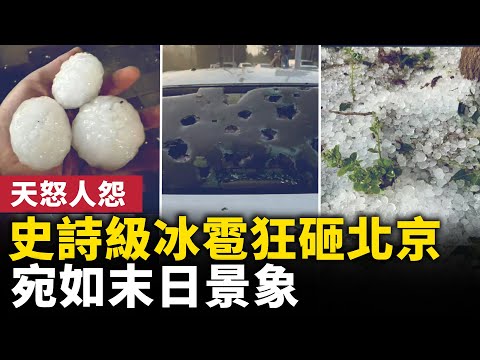 史詩級冰雹突然狂砸北京城！北京市民稱從沒見過，冰雹傾盆而下，像天空在倒冰塊，樓下宛如「冰河世紀」！網民熱議，北京撤熱搜！｜ #人民報 - YouTube