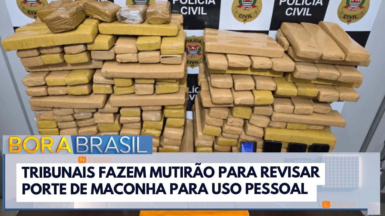 Tribunais fazem mutirão para revisar porte de maconha para uso pessoal