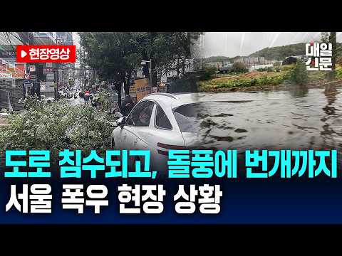 강풍에 나무 쓰러지고 도로 침수...서울 폭우 피해 현장