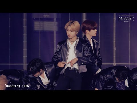 『Stray Kids 2nd World Tour “MANIAC” ENCORE in JAPAN』 Solo Angle Movie Preview (HAN ver.)